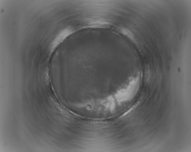 X0000067401362200604131946