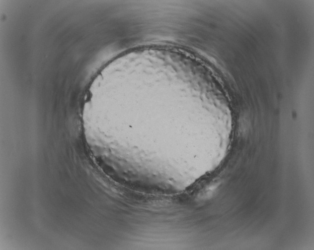 X0000067401363200604131946