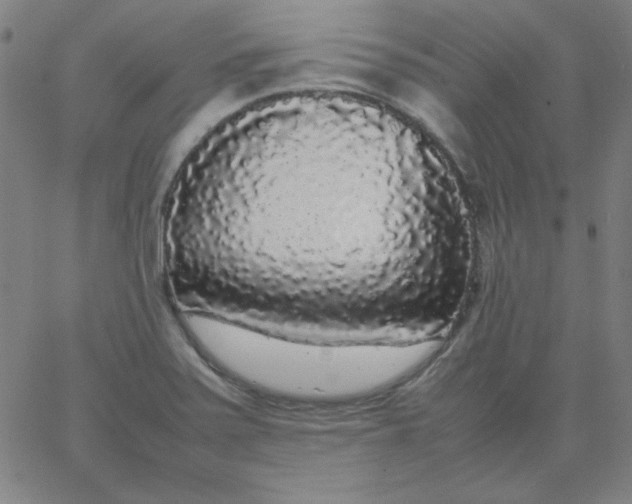 X0000067401371200604131946