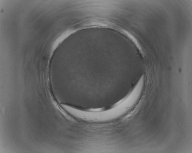 X0000067401373200604131946