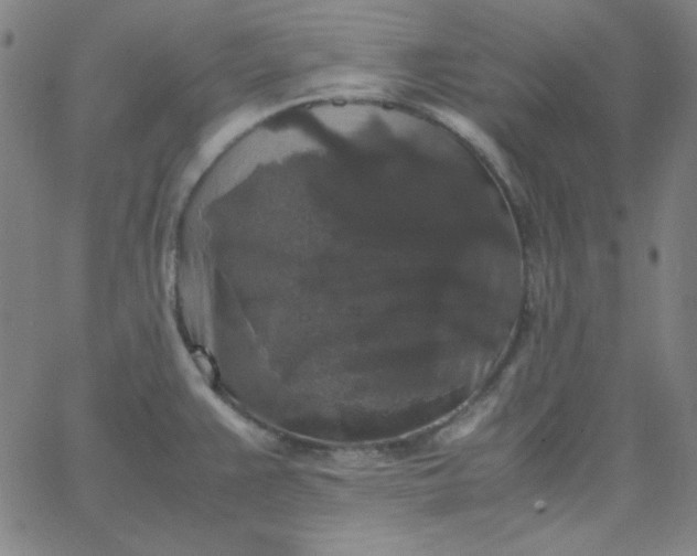 X0000067401383200604131946