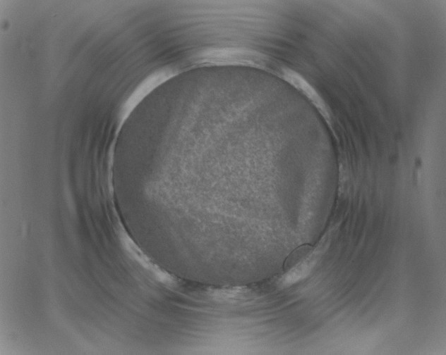 X0000067401386200604131946