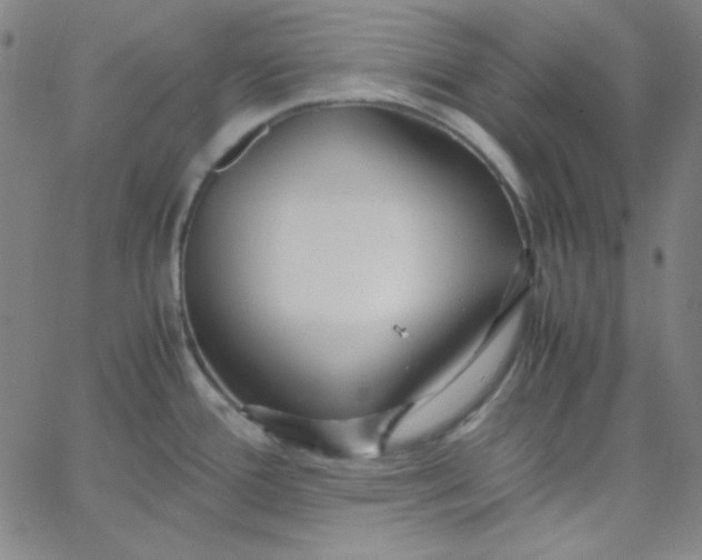 X0000067401388200604131946