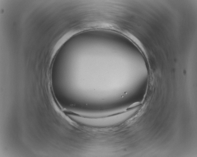 X0000067401389200604131946