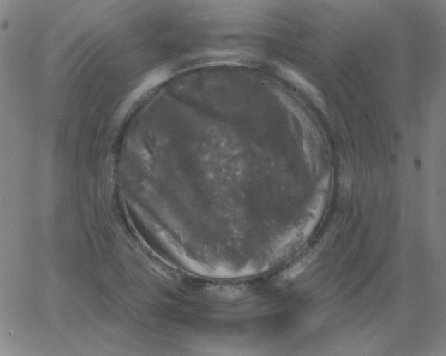 X0000067401411200604131945