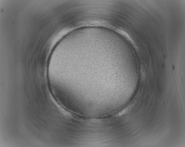 X0000067401424200604131945