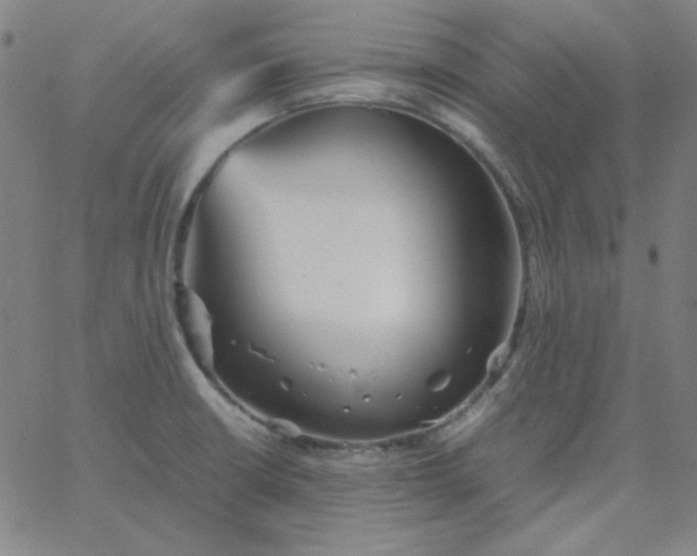 X0000067401426200604131945