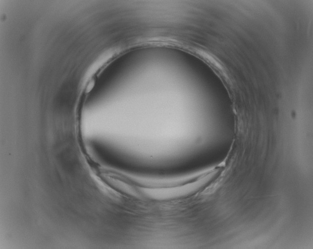 X0000067401430200604131945