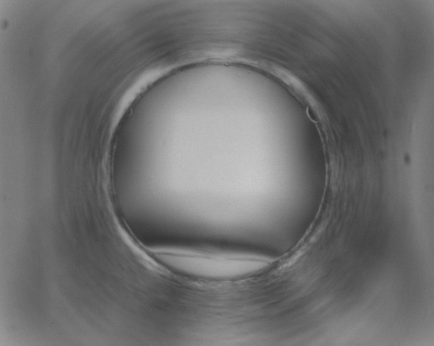 X0000067401432200604131945
