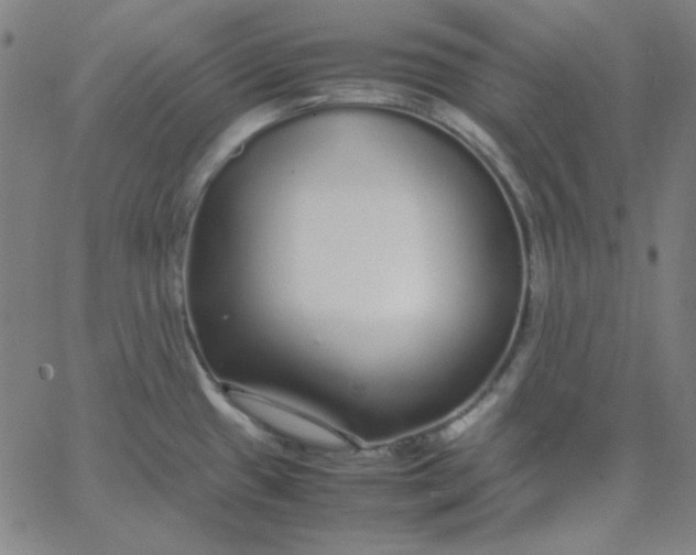 X0000067401433200604131945
