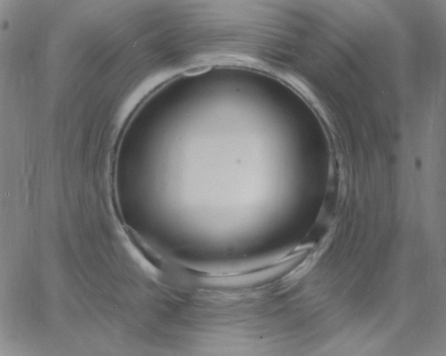 X0000067401438200604131945