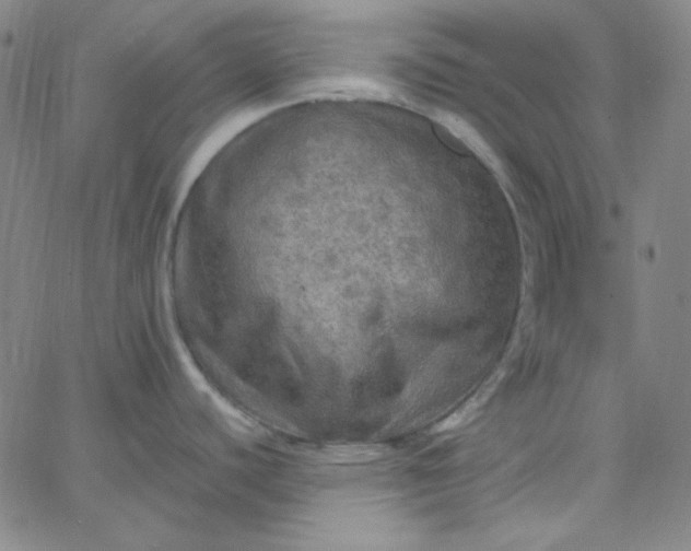 X0000067401440200604131946