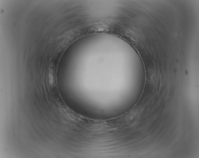 X0000067401442200604131945