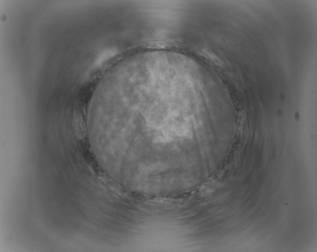 X0000067401446200604131945
