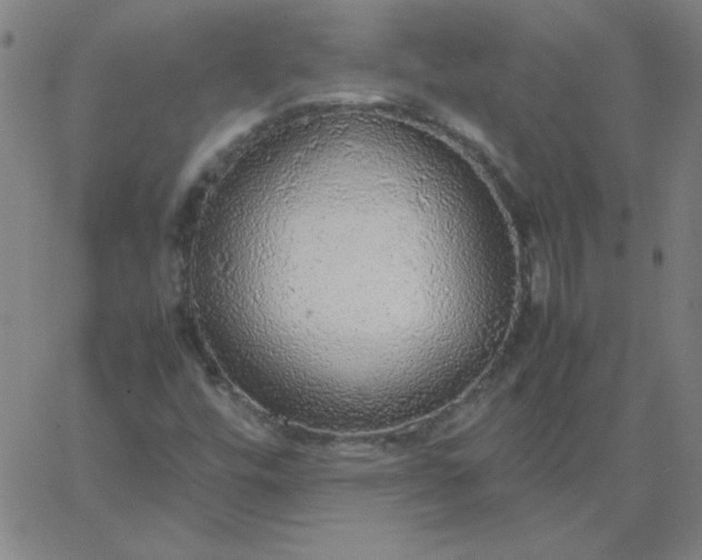 X0000067401448200604131945