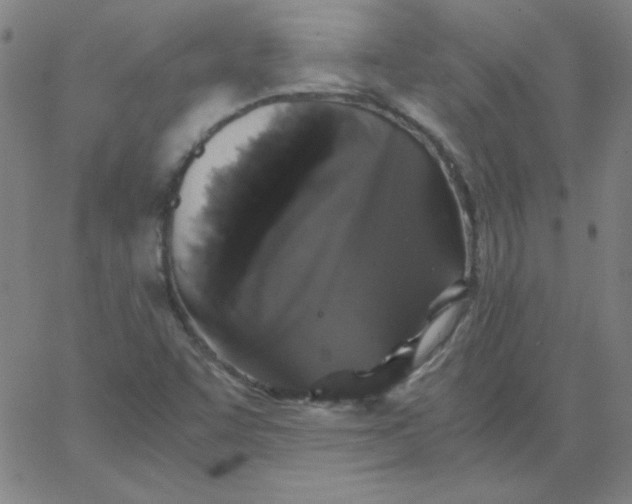 X0000067401455200604131945