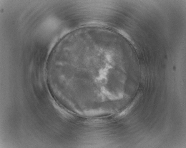 X0000067401474200604131944