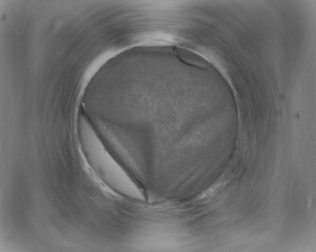 X0000067401488200604131944