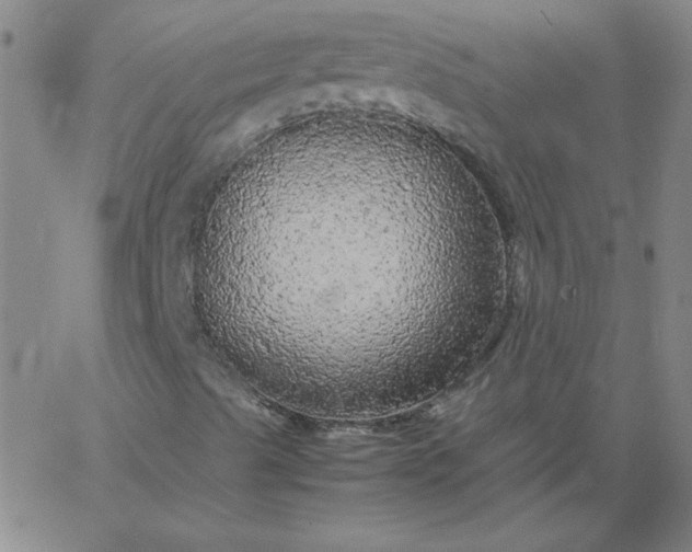 X0000067401489200604131943