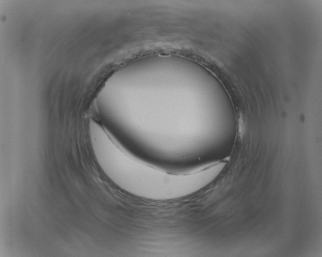 X0000067401492200604131943