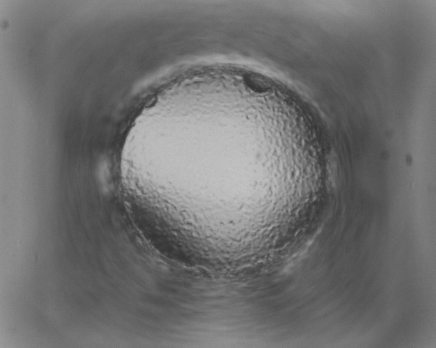 X0000067401494200604131943
