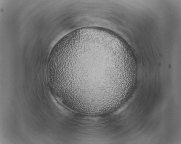 X0000067401513200604131944