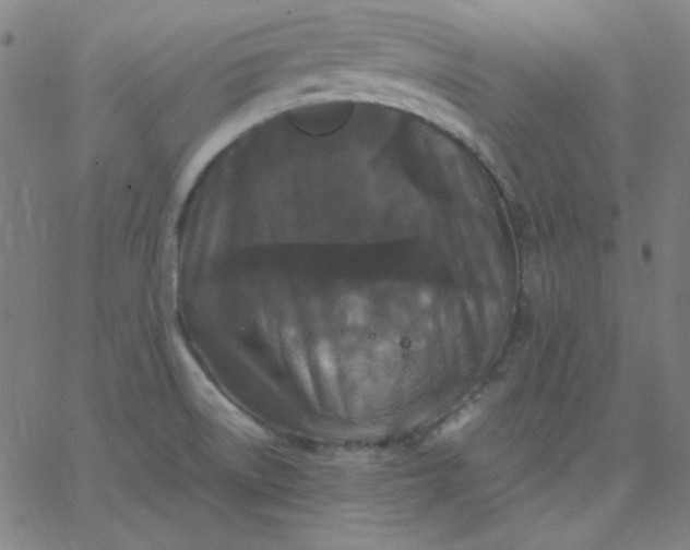 X0000067401522200604131944