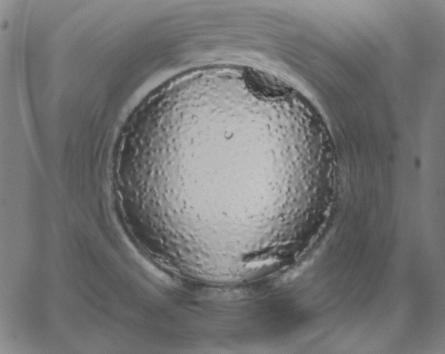X0000067401525200604131944