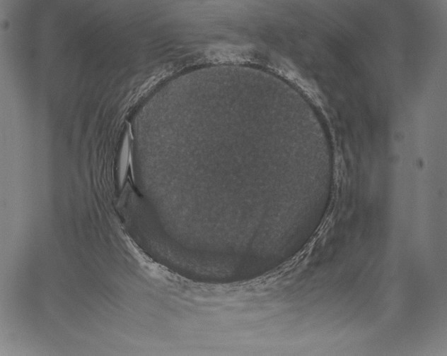 X0000067400009200604211710