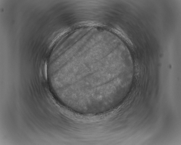 X0000067400014200604211710