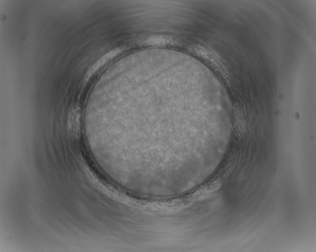 X0000067400016200604211710