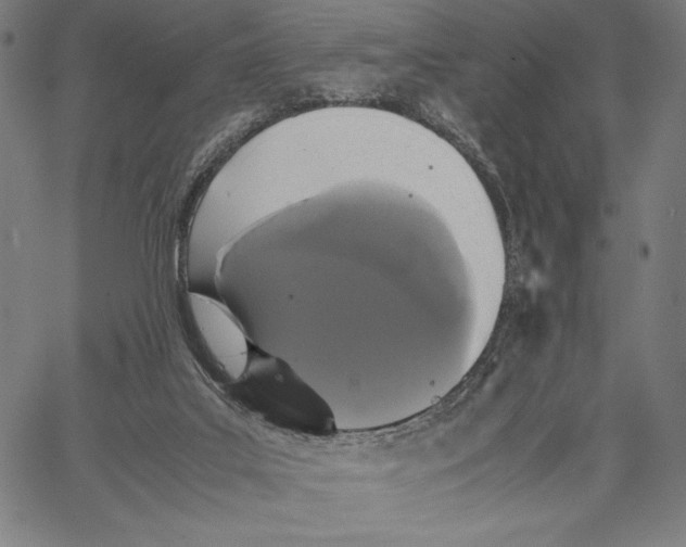 X0000067400019200604211710