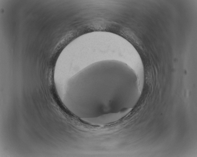 X0000067400023200604211710