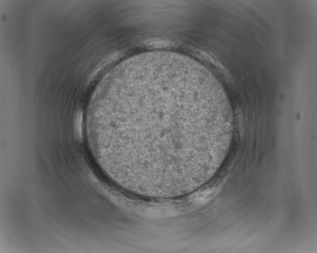 X0000067400024200604211710