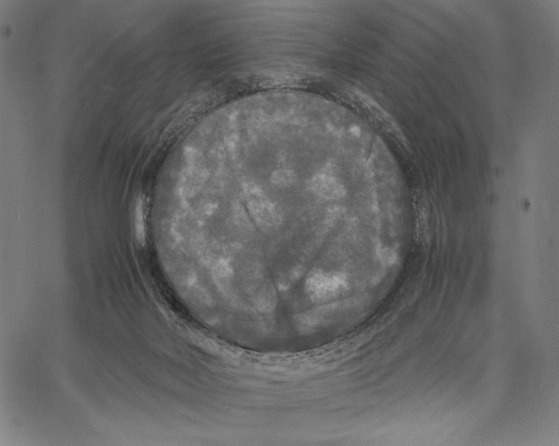 X0000067400026200604211710