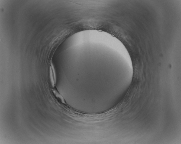X0000067400027200604211710