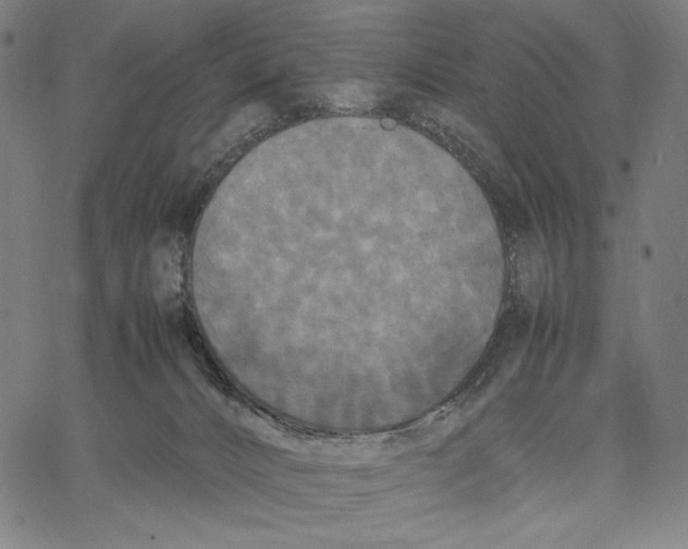 X0000067400032200604211710