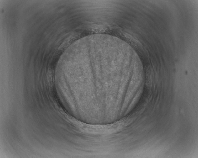 X0000067400034200604211710