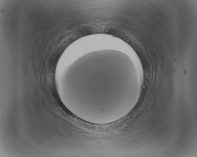 X0000067400035200604211710