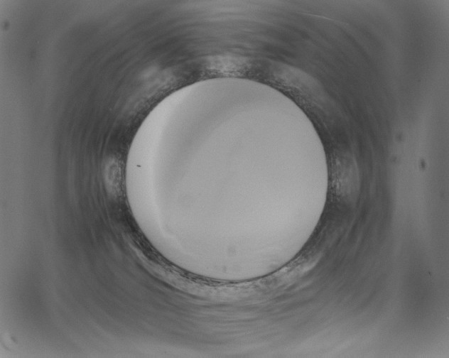 X0000067400036200604211710