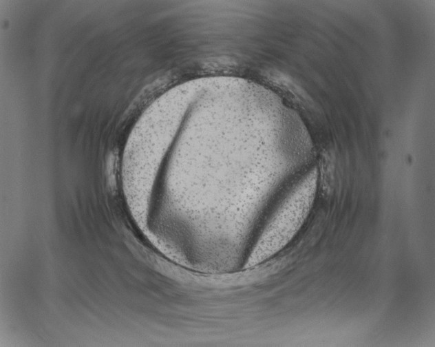 X0000067400038200604211710