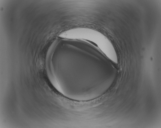 X0000067400039200604211710