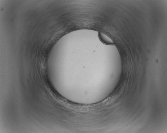 X0000067400040200604211710