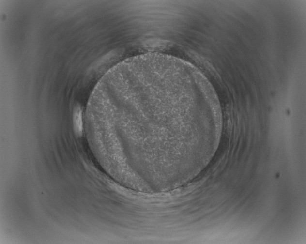 X0000067400042200604211710