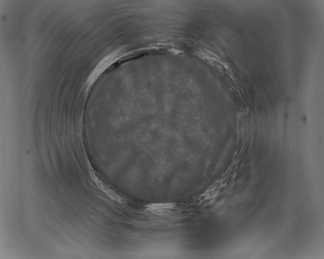 X0000067400051200604211709