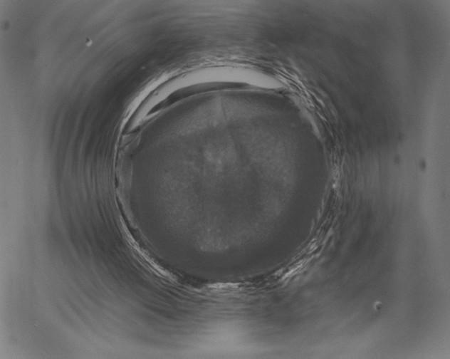 X0000067400052200604211709