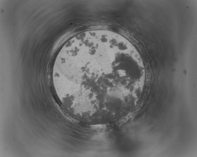 X0000067400053200604211709