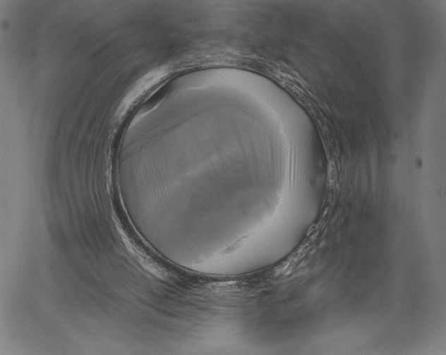 X0000067400054200604211709