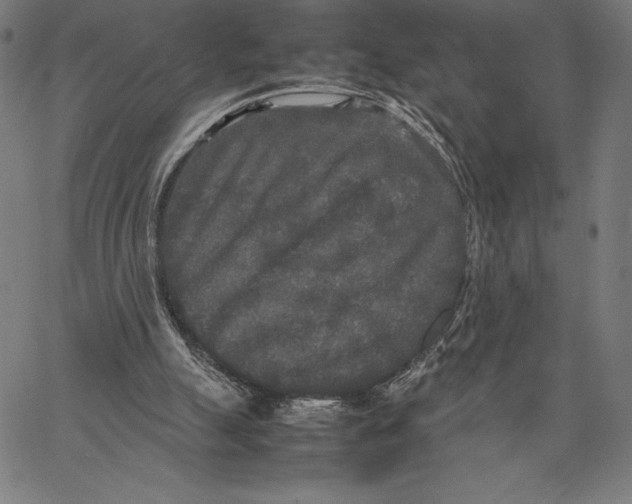 X0000067400055200604211709