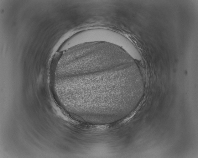 X0000067400056200604211709